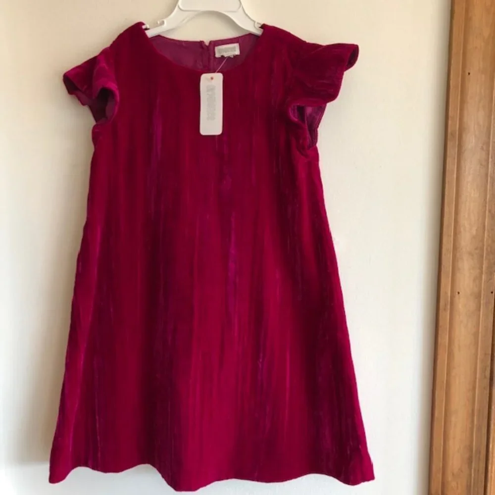 GYMBOREE Deep Pink Flutter Sleeve Velour Dress Girls 4